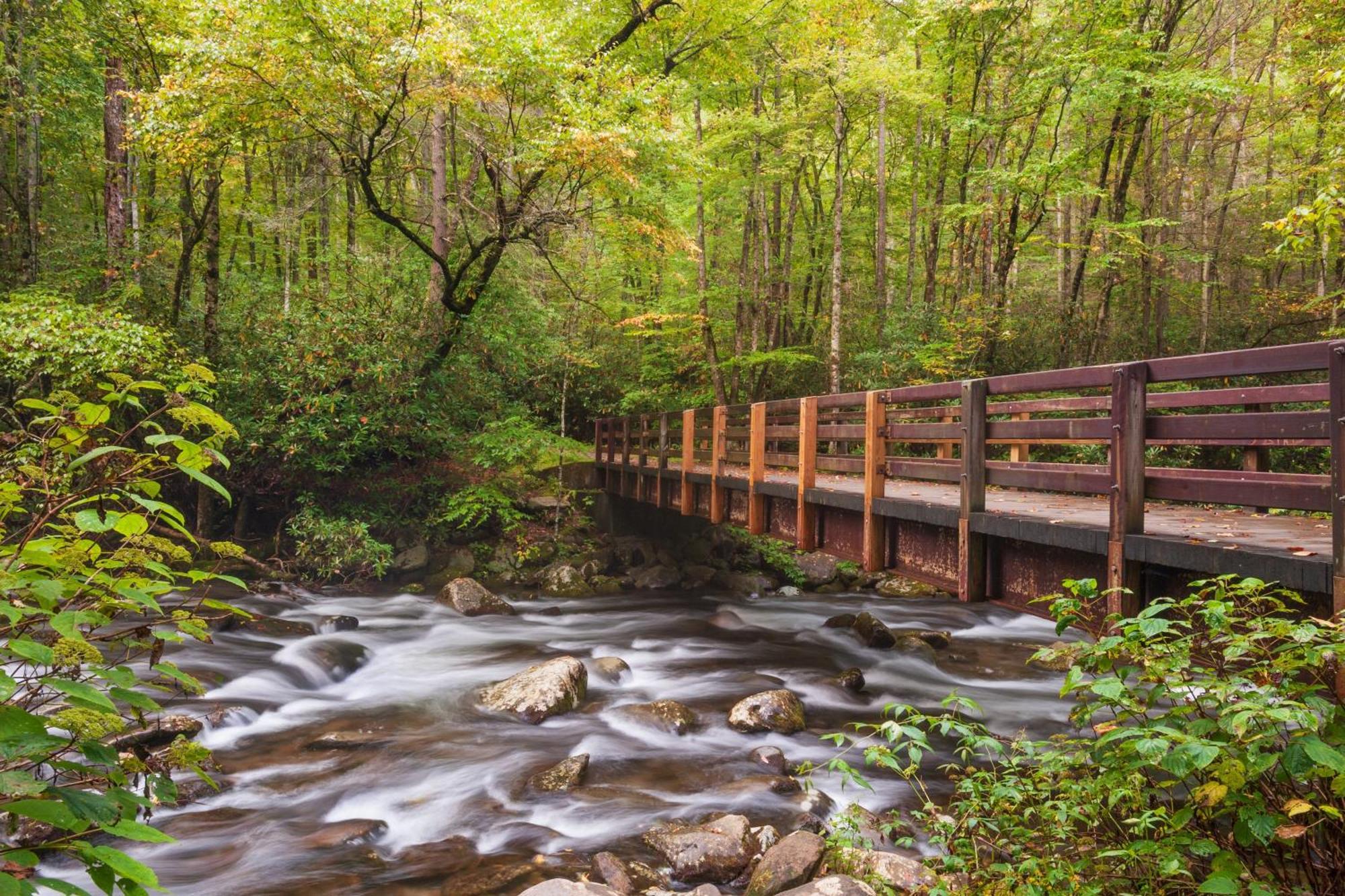 Four Bears Den, Hot Tub, 1089 Of Free Attraction Tickets For Each Paid Day, Dollywood And More Gatlinburg Exterior photo
