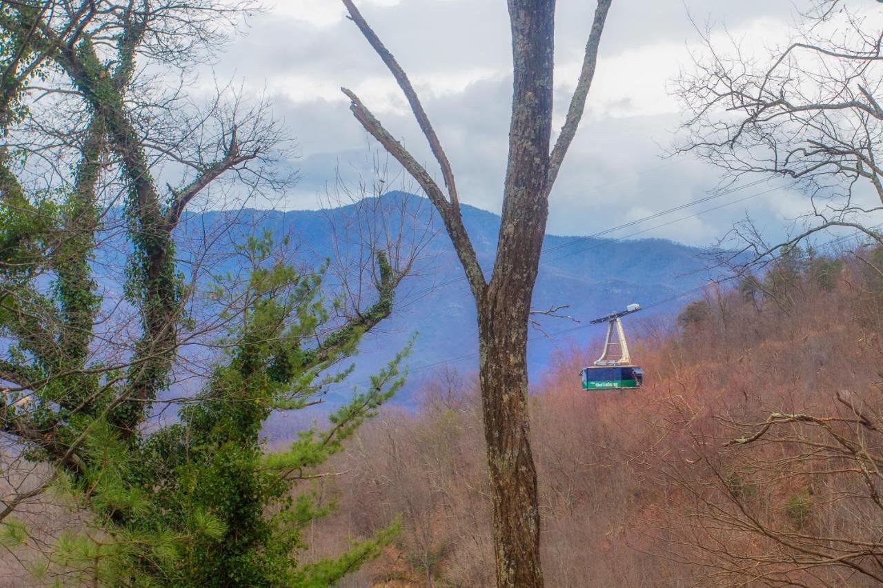 Four Bears Den, Hot Tub, 1089 Of Free Attraction Tickets For Each Paid Day, Dollywood And More Gatlinburg Exterior photo